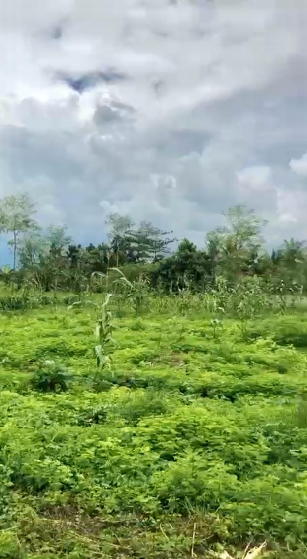 NTB,Bali,Indonesia,Land,MLS ID 2292