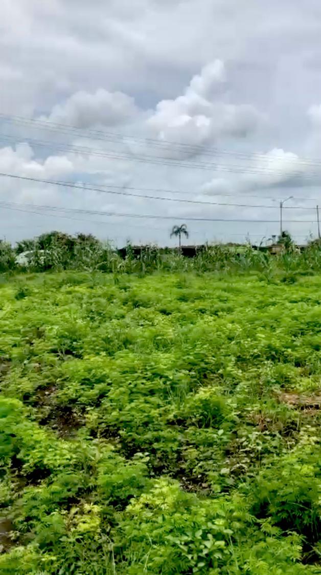 NTB,Bali,Indonesia,Land,MLS ID 2292