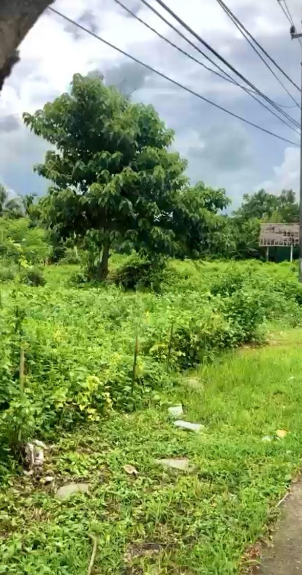 NTB,Bali,Indonesia,Land,MLS ID 2292