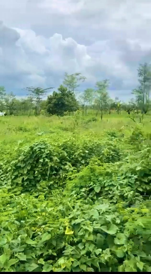 NTB,Bali,Indonesia,Land,MLS ID 2292