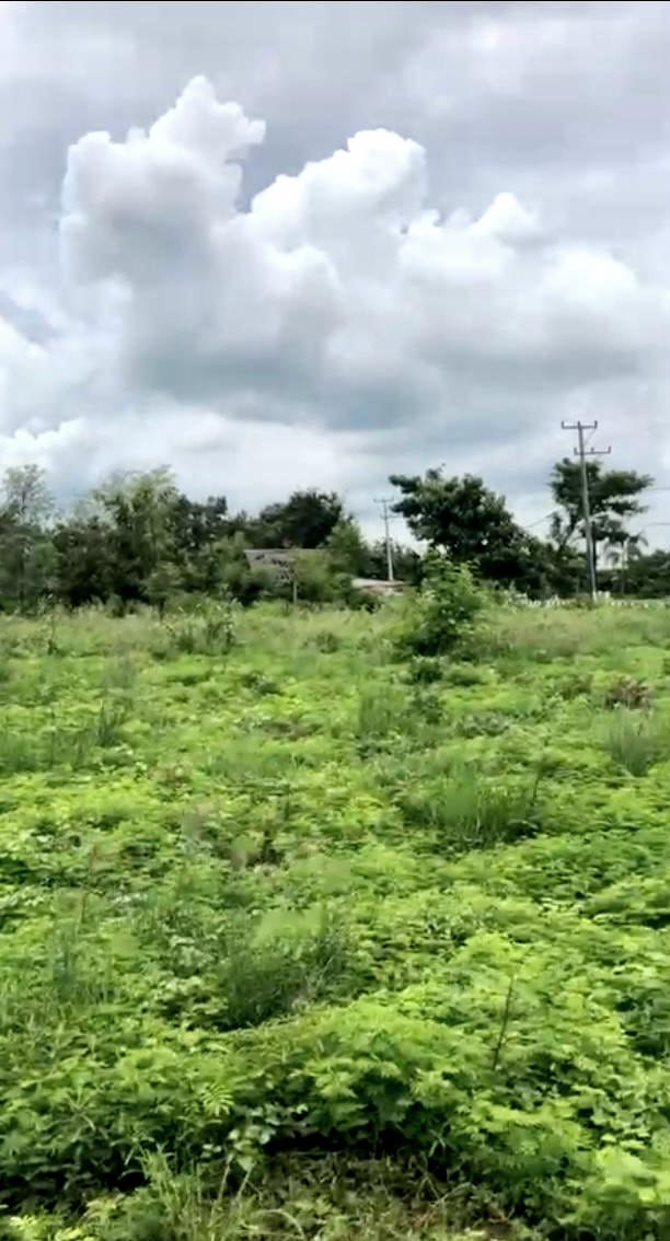 NTB,Bali,Indonesia,Land,MLS ID 2292
