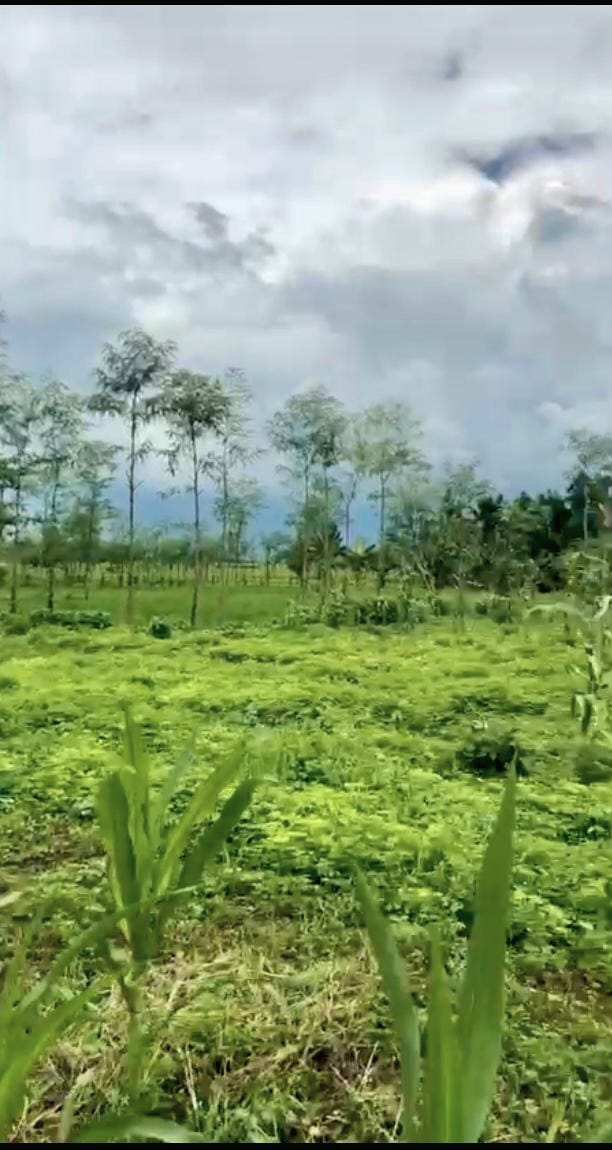 NTB,Bali,Indonesia,Land,MLS ID 2292