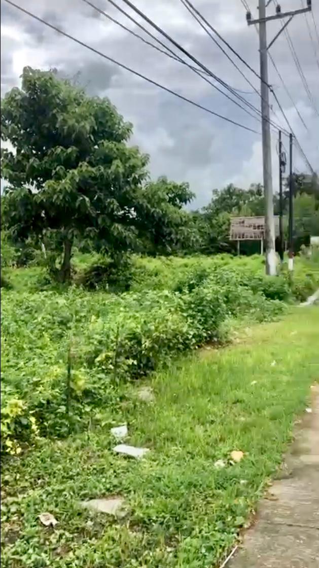 NTB,Bali,Indonesia,Land,MLS ID 2292