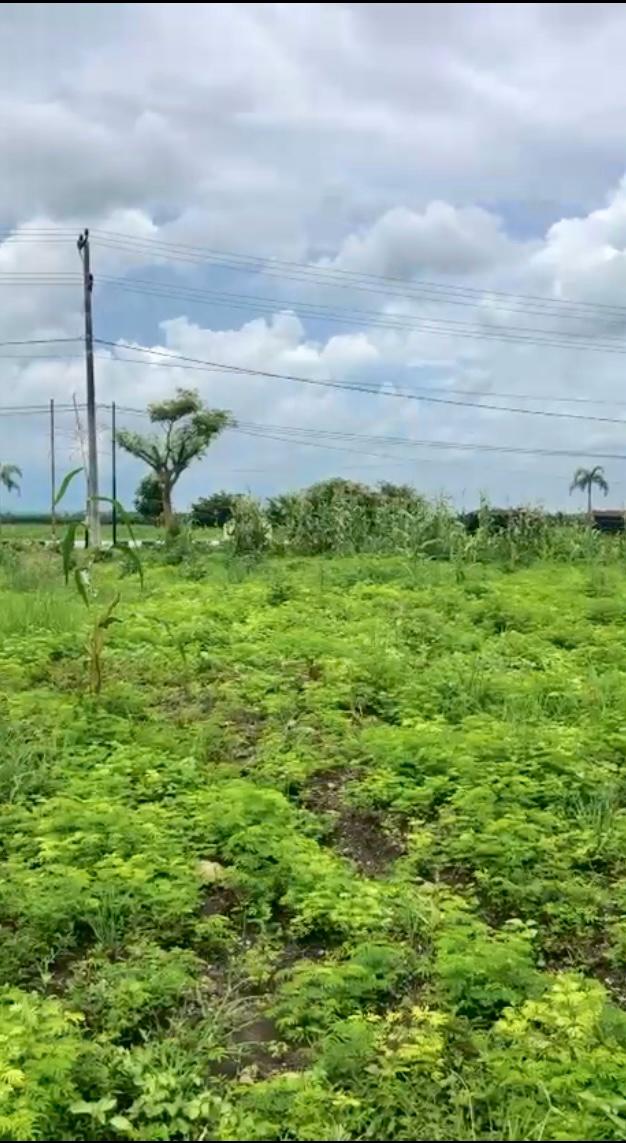 NTB,Bali,Indonesia,Land,MLS ID 2292