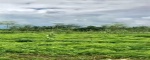 NTB,Bali,Indonesia,Land,MLS ID 2292