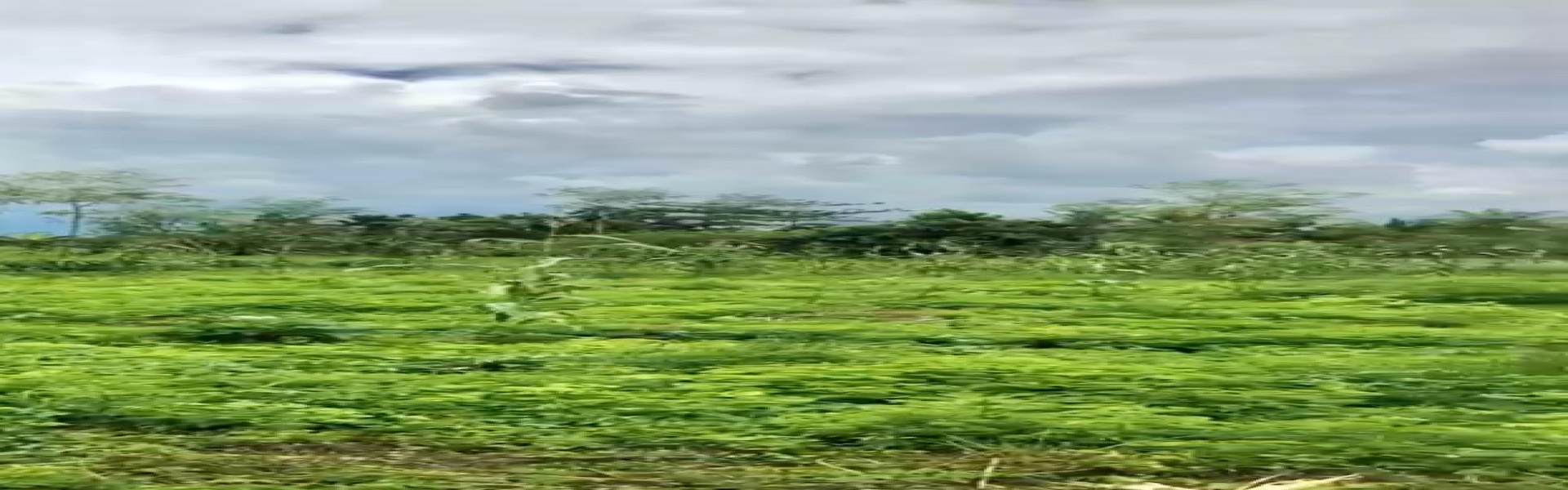 NTB,Bali,Indonesia,Land,MLS ID 2292