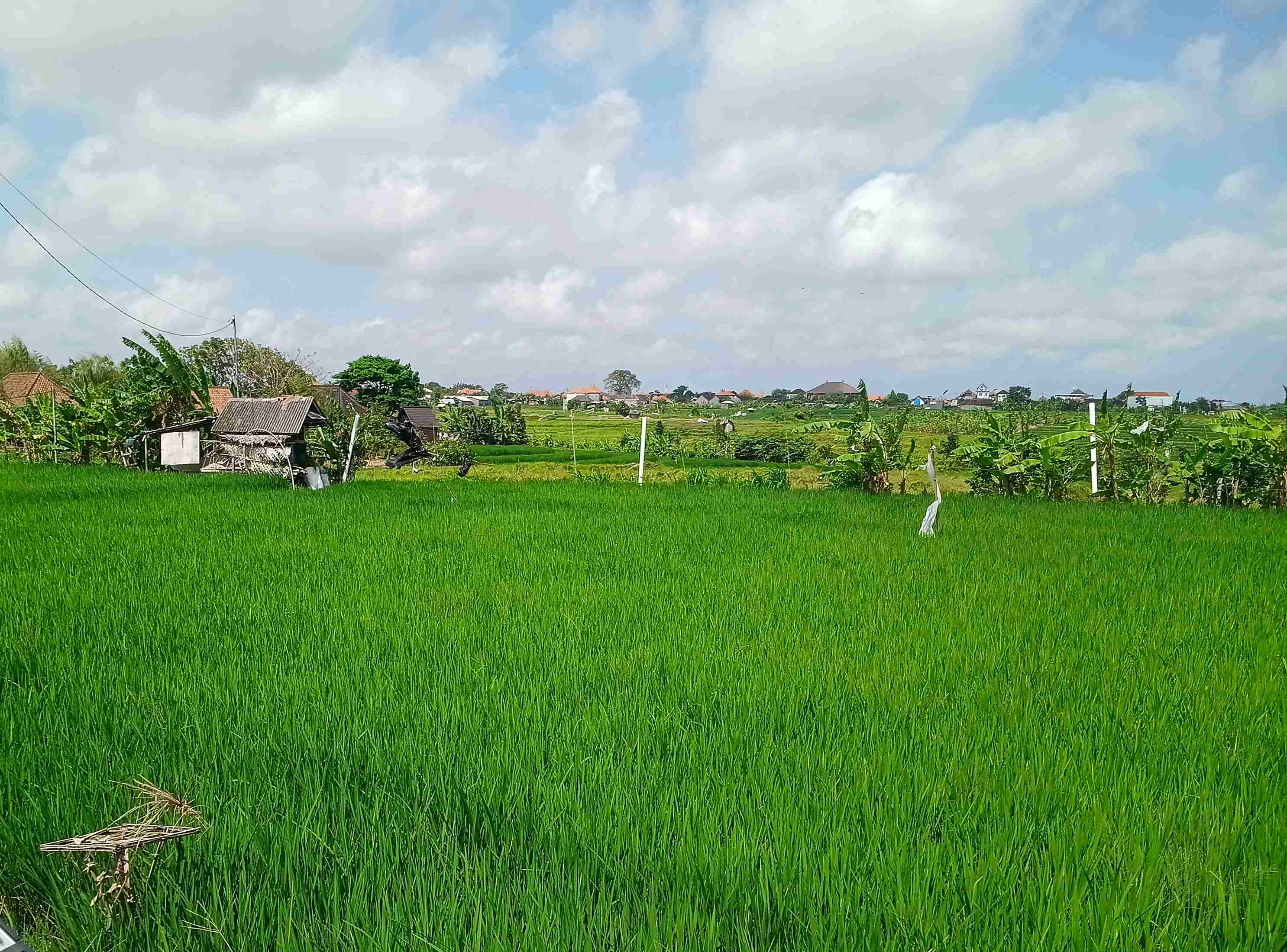 Kerobokan,Bali,Indonesia,2 Bedrooms,3 Bathrooms,Villa,MLS ID 2311