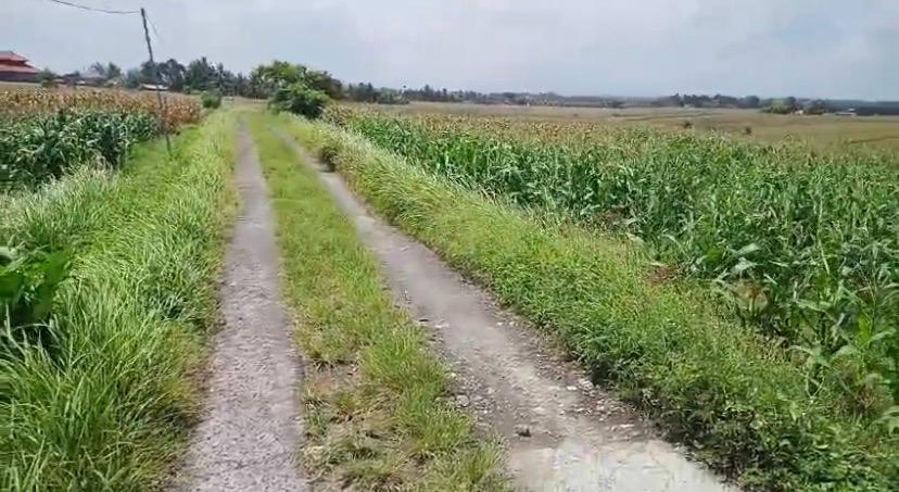 Tabanan,Bali,Indonesia,Land,MLS ID 2314