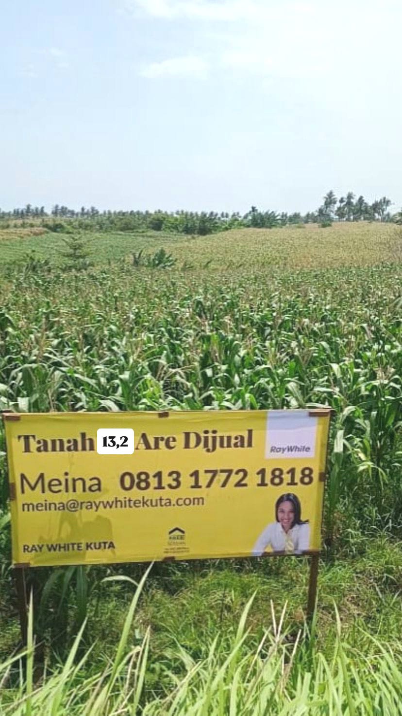 Tabanan,Bali,Indonesia,Land,MLS ID 2314