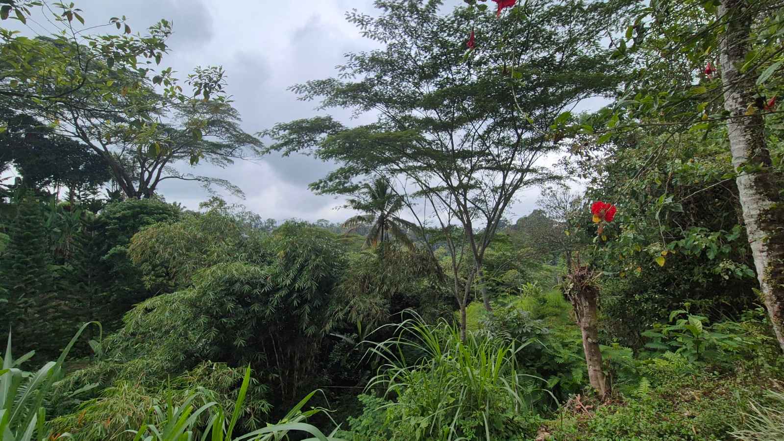 Gianyar,Bali,Indonesia,6 Bedrooms,6 Bathrooms,Villa,MLS ID 2328