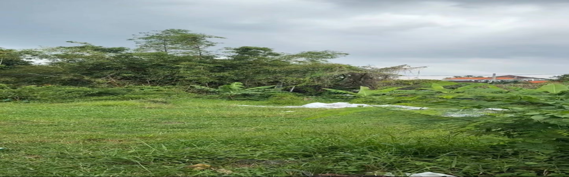 Seminyak,Bali,Indonesia,Land,MLS ID 2334