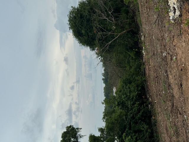 Ungasan,Bali,Indonesia,Land,MLS ID 2349