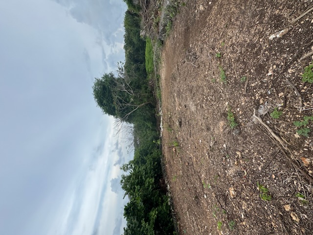 Ungasan,Bali,Indonesia,Land,MLS ID 2349