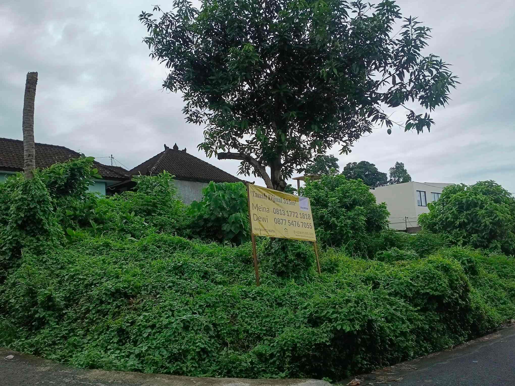 Canggu,Bali,Indonesia,Land,MLS ID 2354