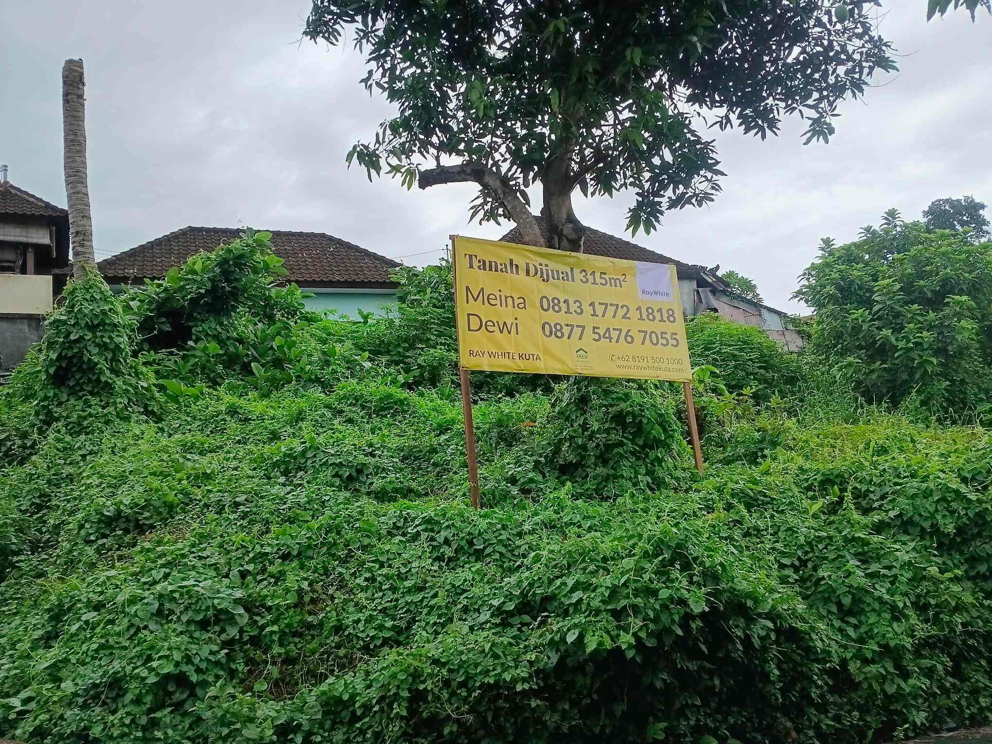 Canggu,Bali,Indonesia,Land,MLS ID 2354