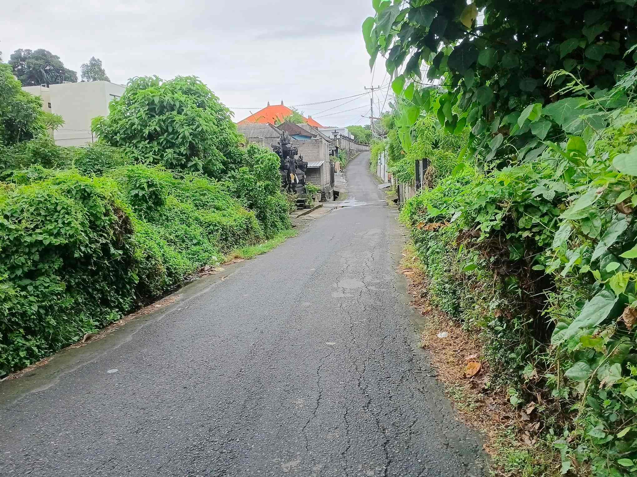 Canggu,Bali,Indonesia,Land,MLS ID 2354