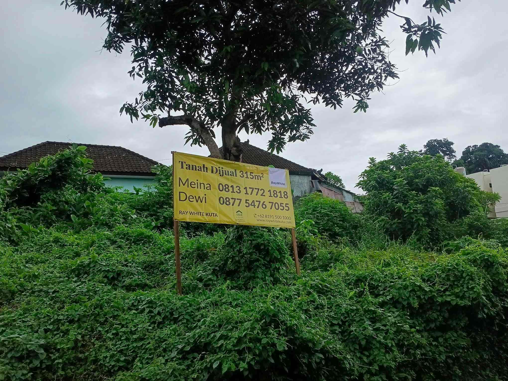 Canggu,Bali,Indonesia,Land,MLS ID 2354