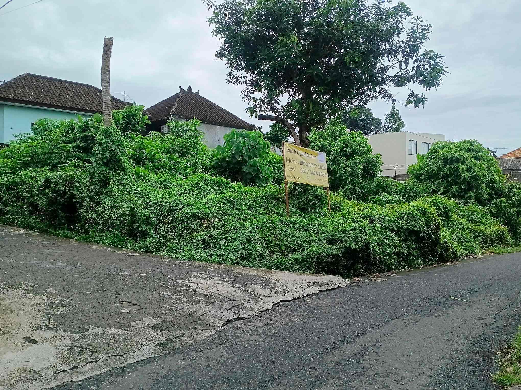 Canggu,Bali,Indonesia,Land,MLS ID 2354