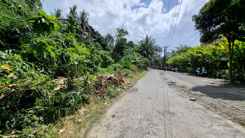 Ubud,Bali,Indonesia,Land,MLS ID 2372
