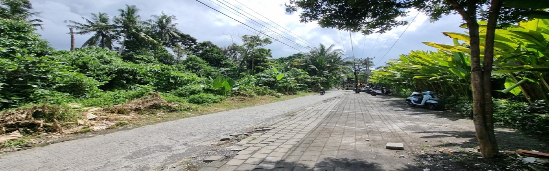 Ubud,Bali,Indonesia,Land,MLS ID 2372