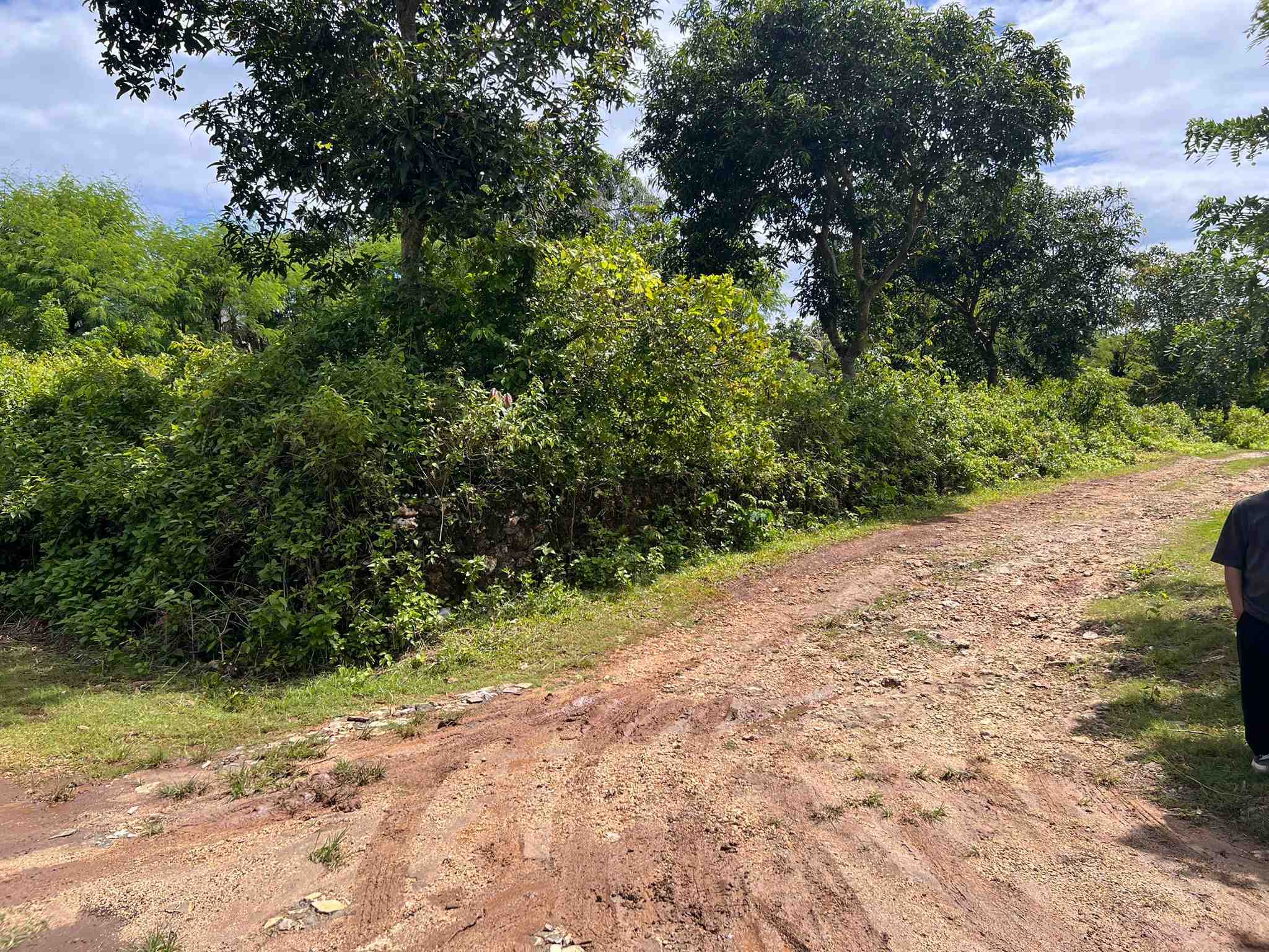 Uluwatu,Bali,Indonesia,Land,MLS ID 2375