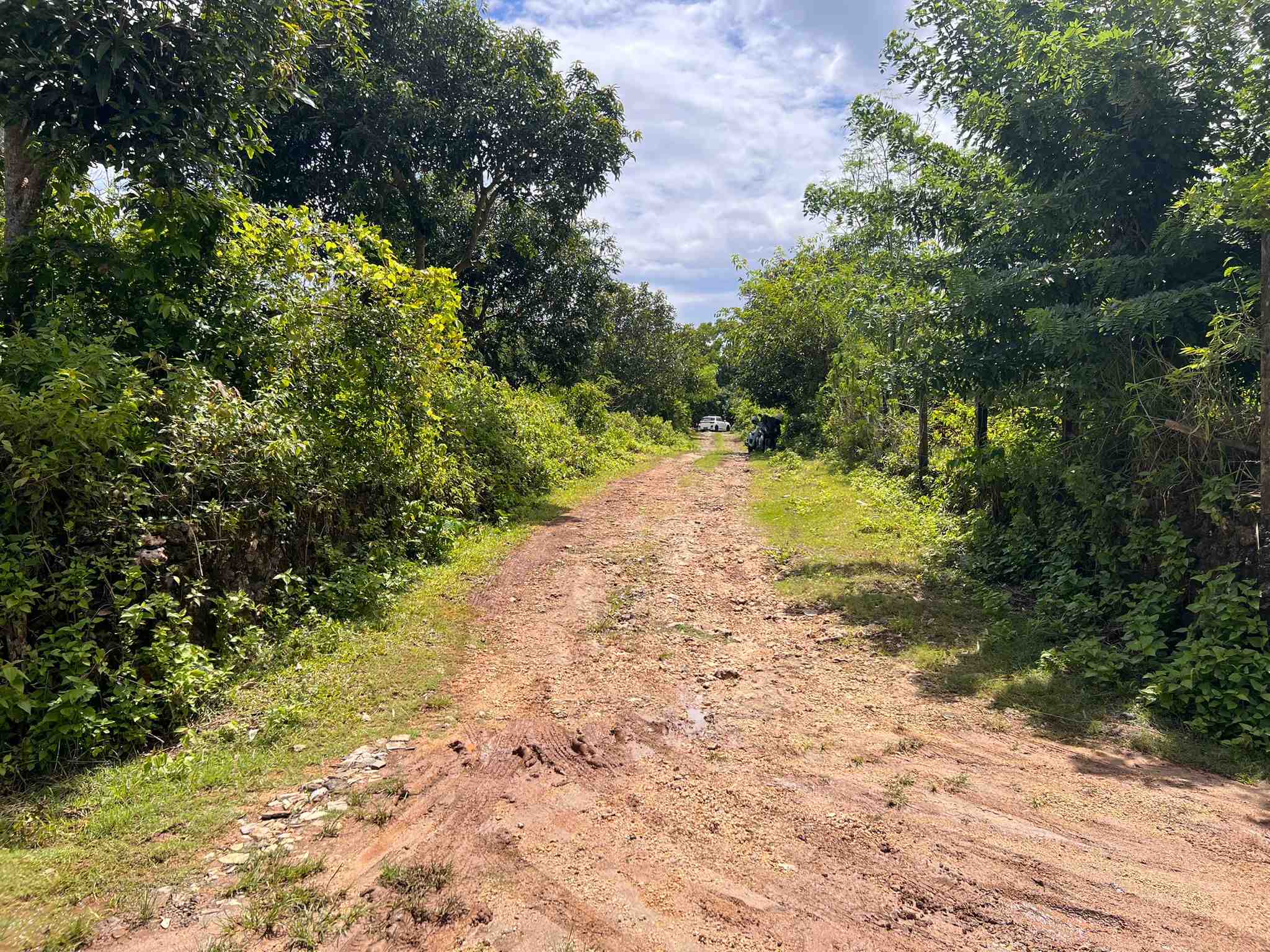 Uluwatu,Bali,Indonesia,Land,MLS ID 2375