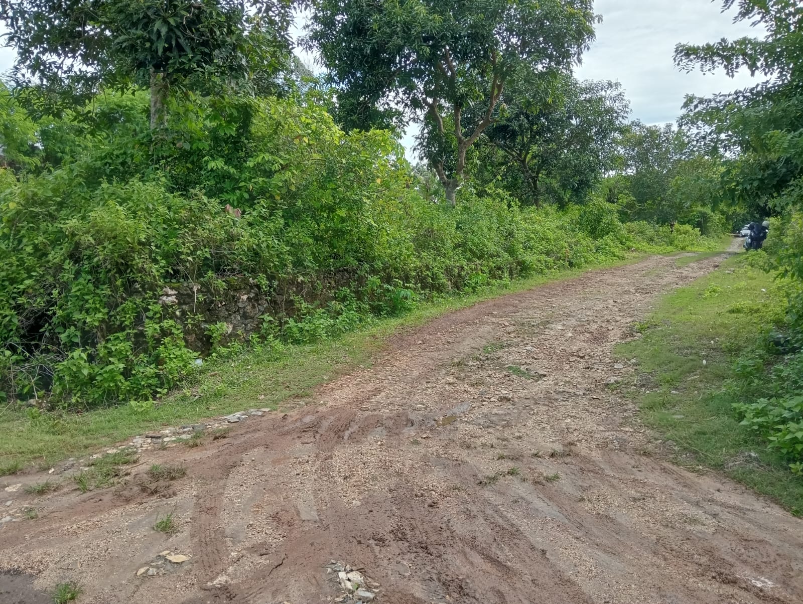 Uluwatu,Bali,Indonesia,Land,MLS ID 2375