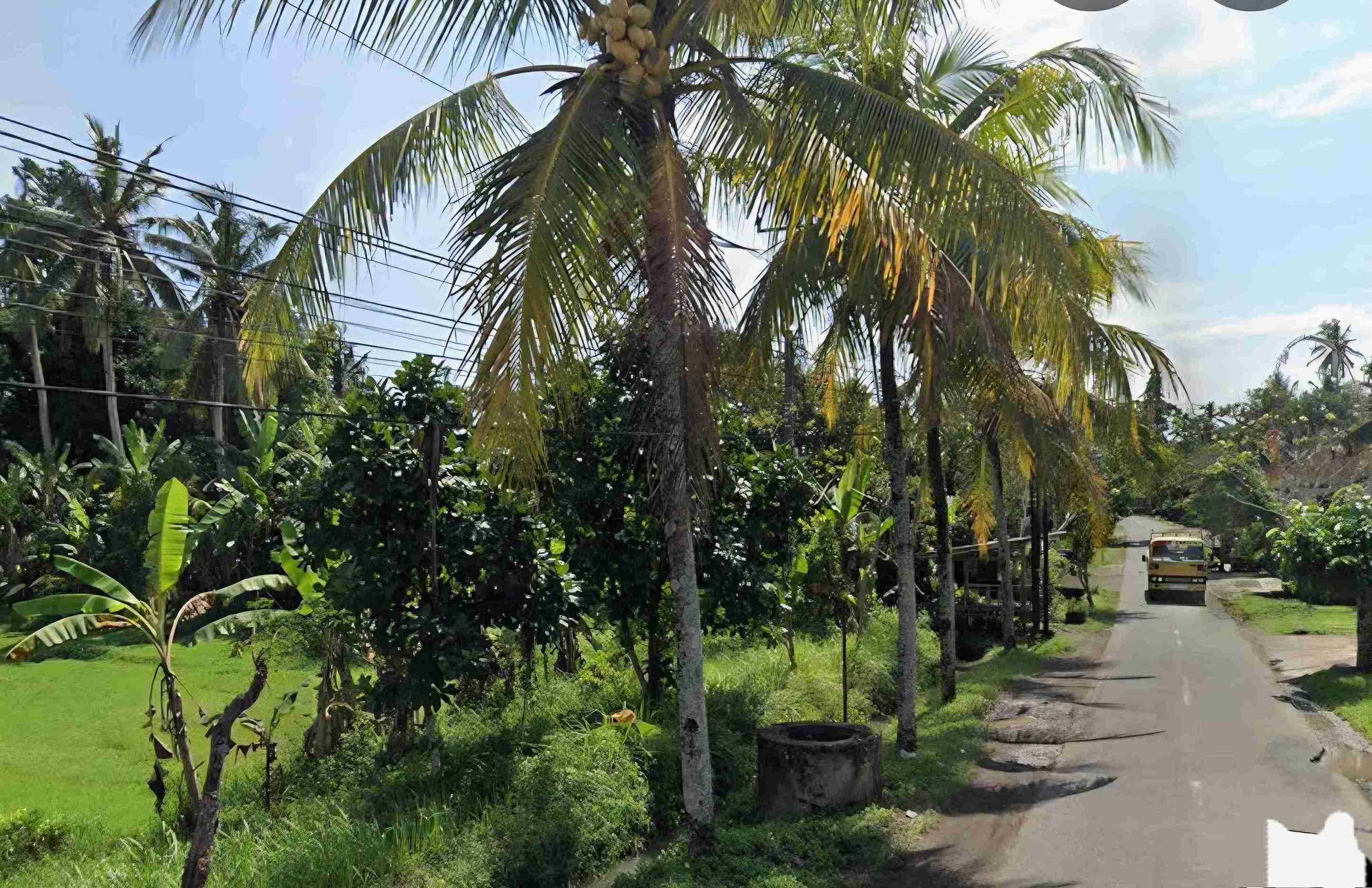 Tabanan,Bali,Indonesia,Land,MLS ID 2384