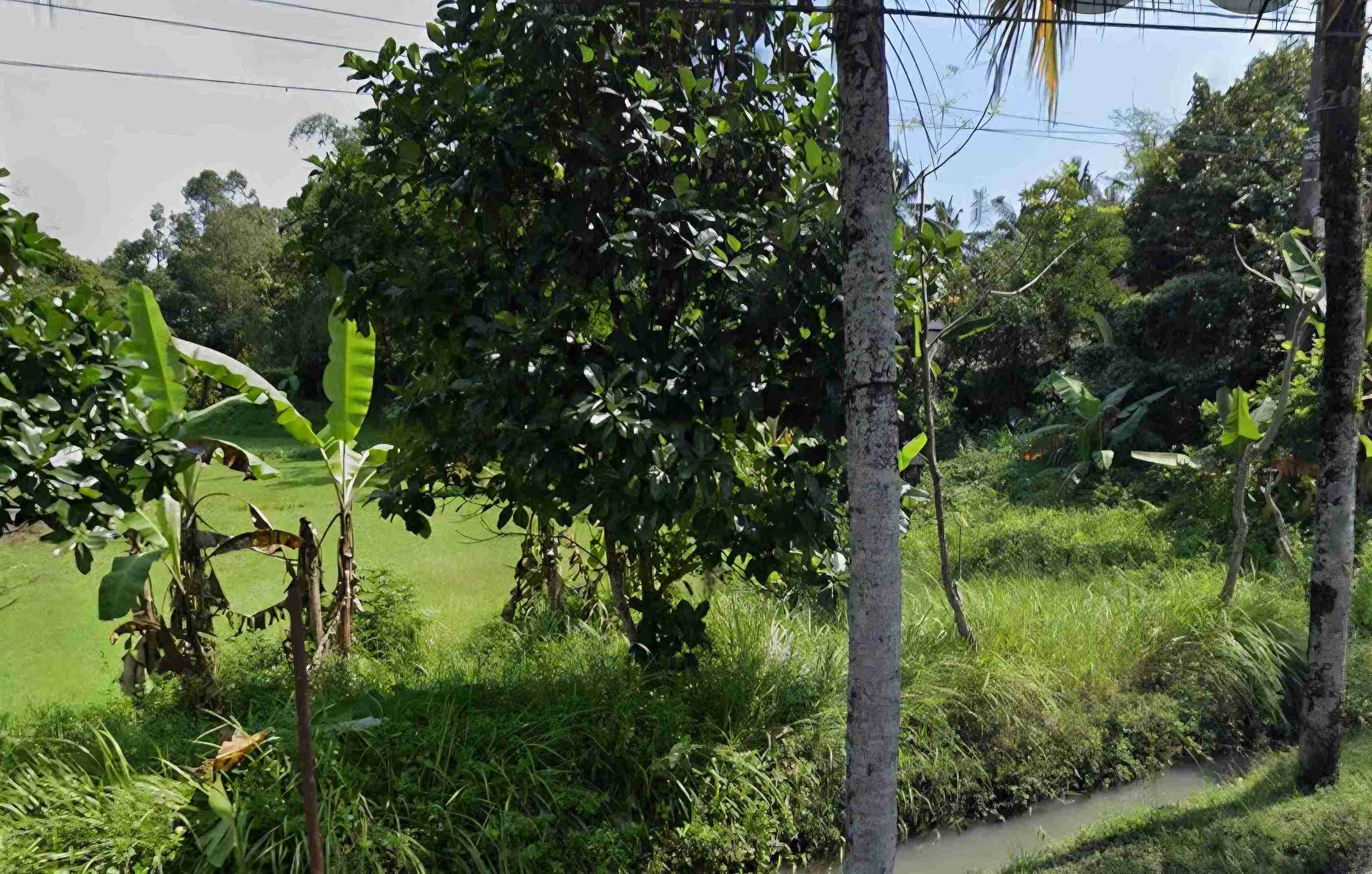 Tabanan,Bali,Indonesia,Land,MLS ID 2384