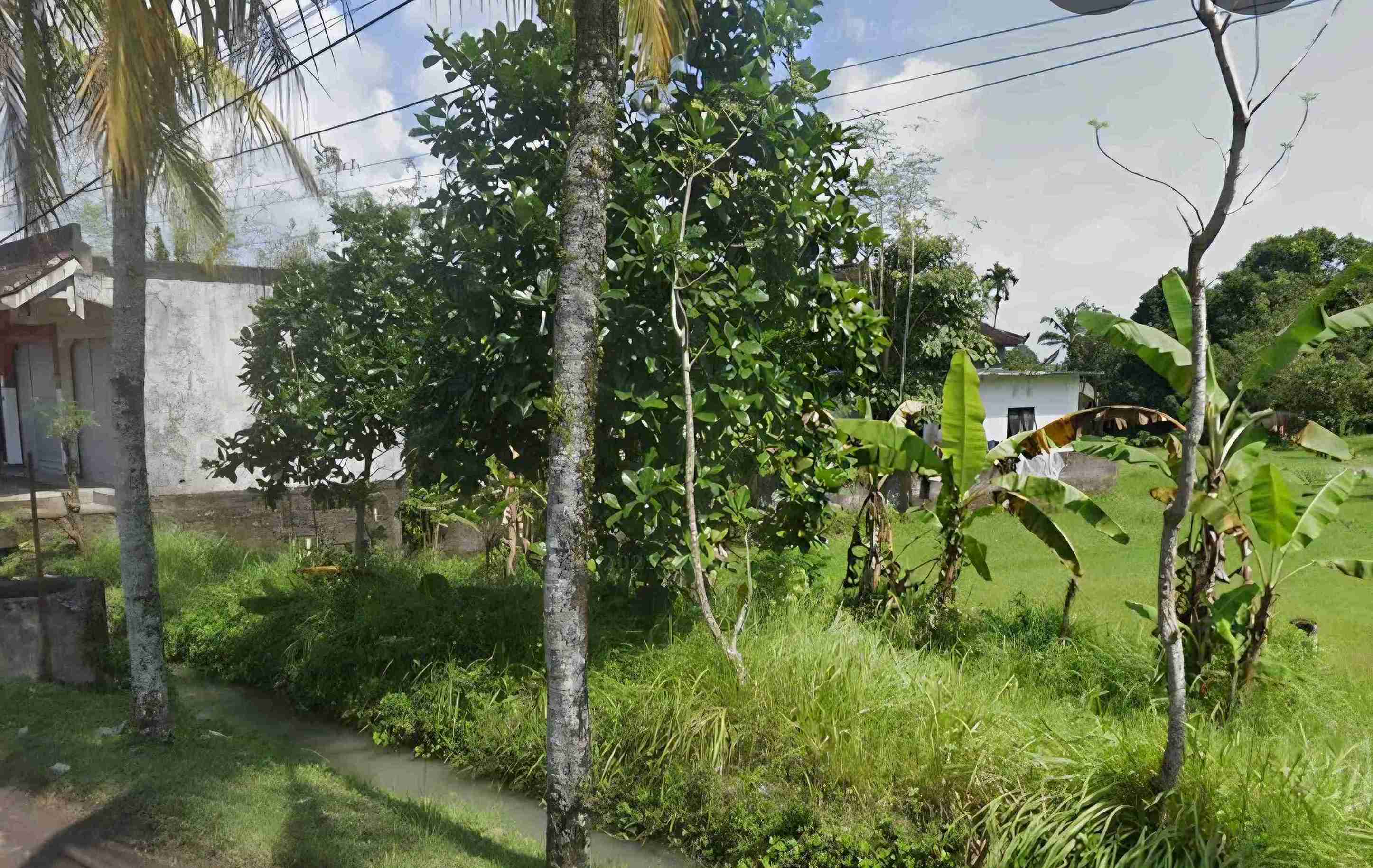 Tabanan,Bali,Indonesia,Land,MLS ID 2384