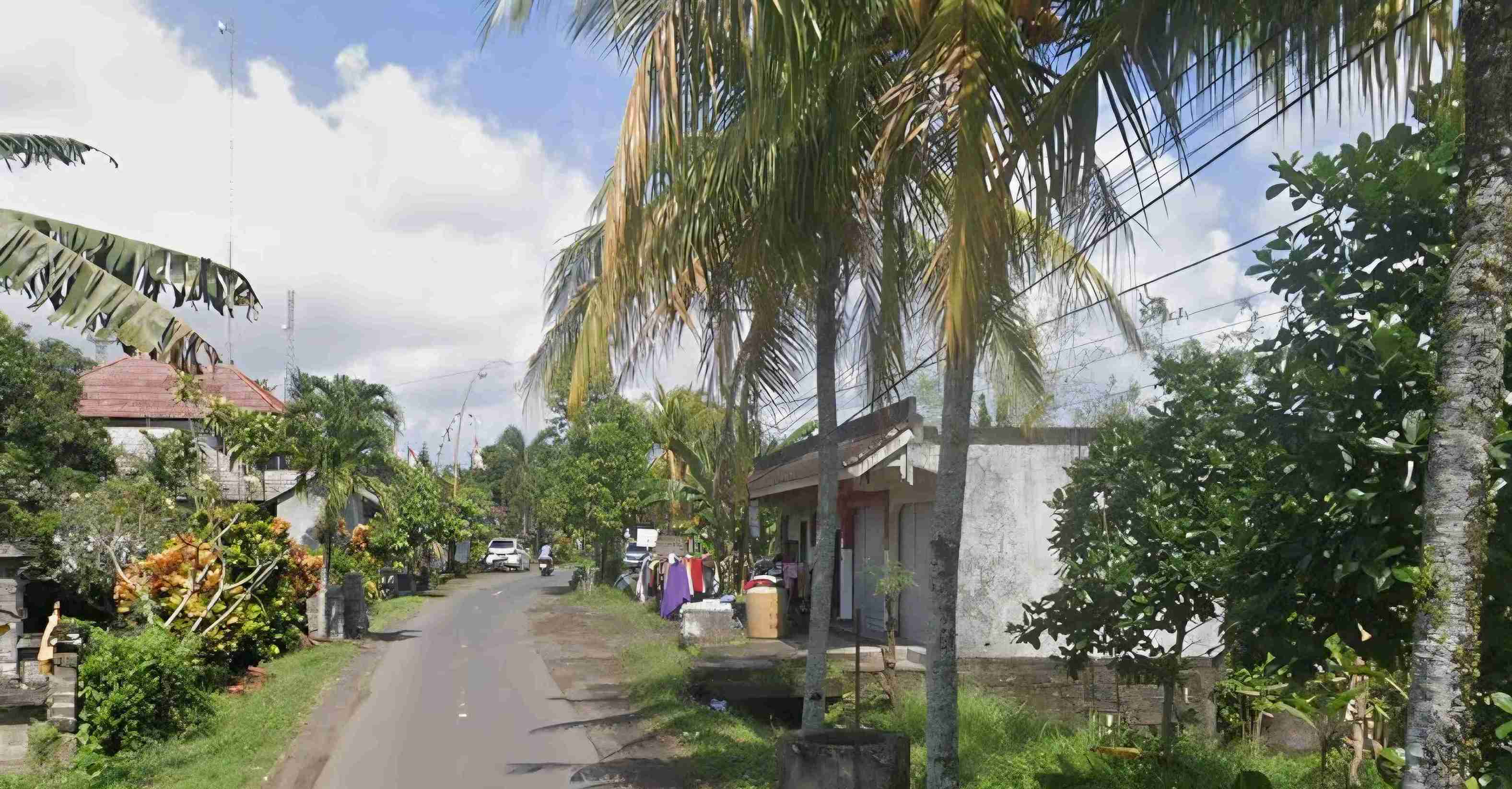 Tabanan,Bali,Indonesia,Land,MLS ID 2384