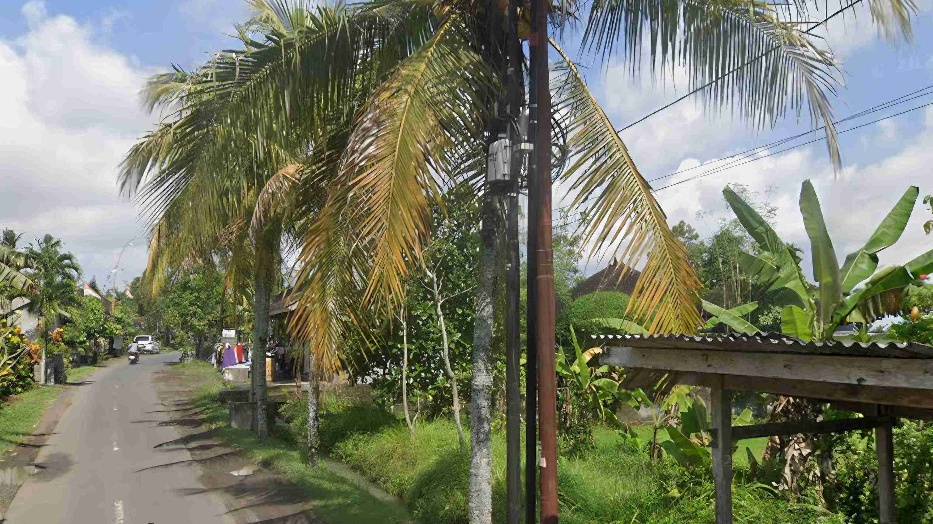 Tabanan,Bali,Indonesia,Land,MLS ID 2384