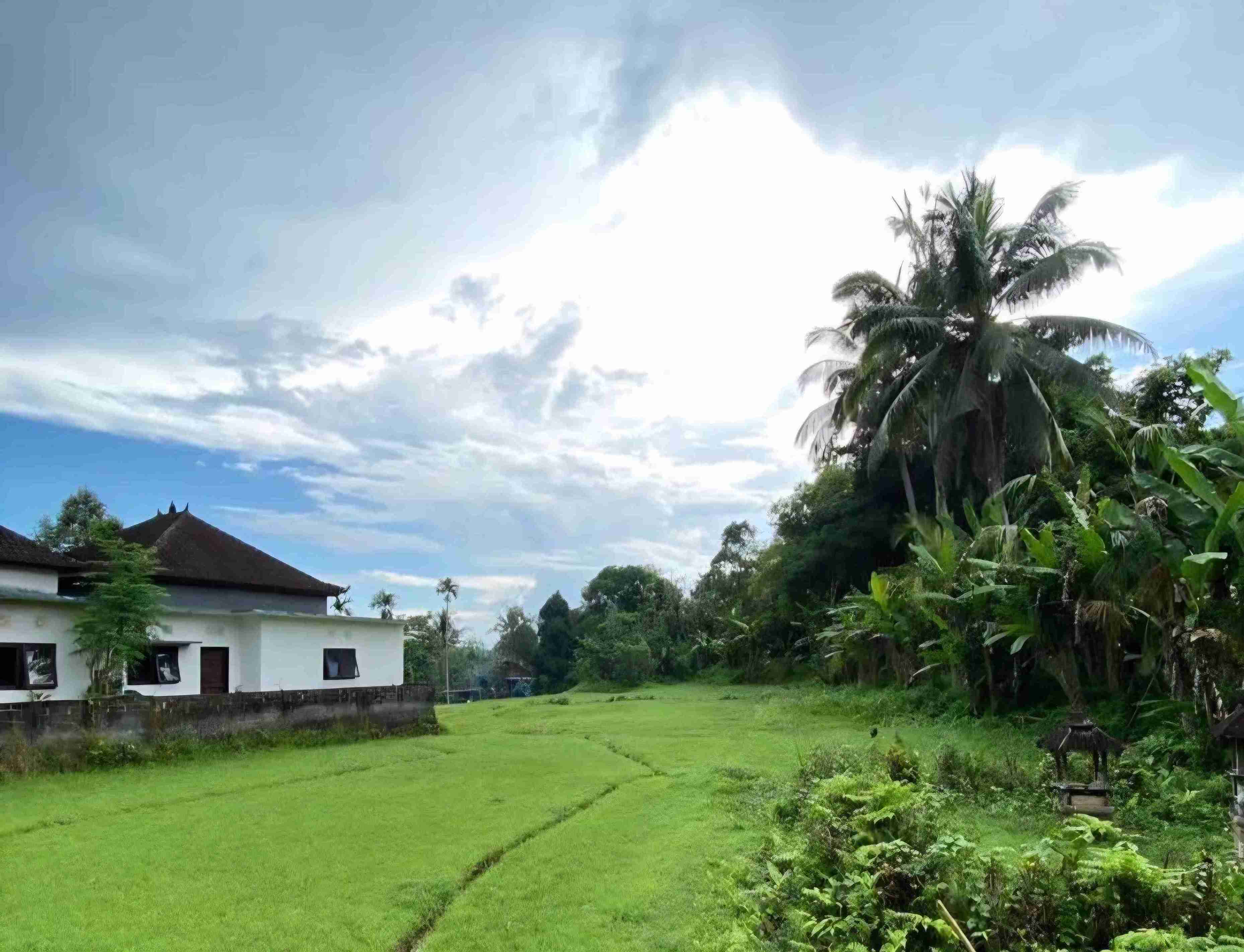 Tabanan,Bali,Indonesia,Land,MLS ID 2384