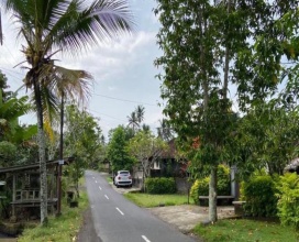 Tabanan,Bali,Indonesia,Land,MLS ID 2384