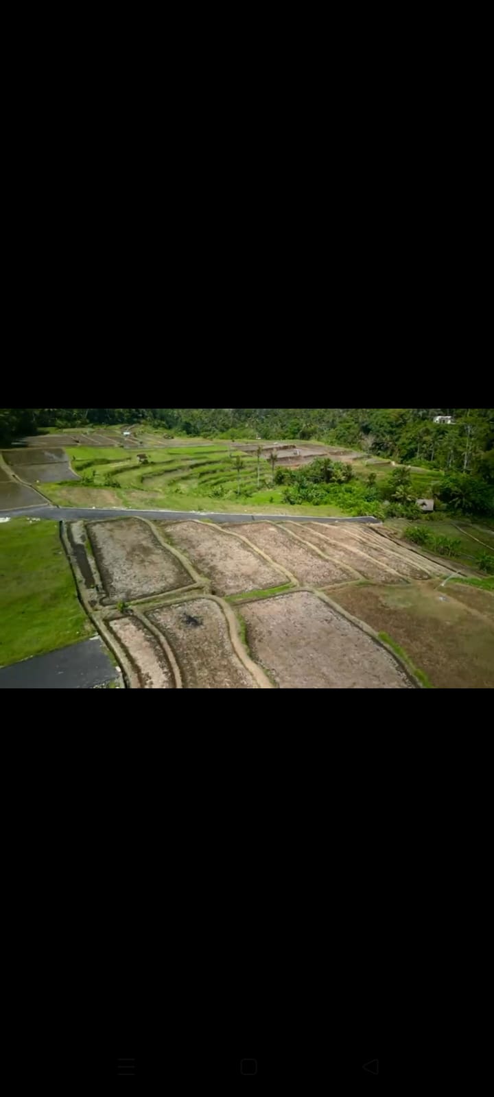 Ubud,Bali,Indonesia,Land,MLS ID 2404