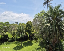 Gianyar,Bali,Indonesia,4 Bedrooms,4 Bathrooms,Villa,MLS ID 2462