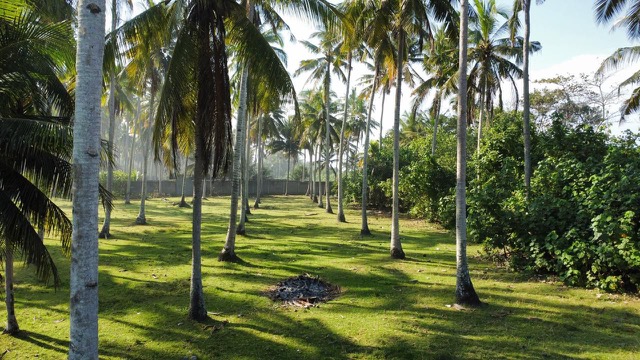 Jembrana,Bali,Indonesia,Land,MLS ID 2472