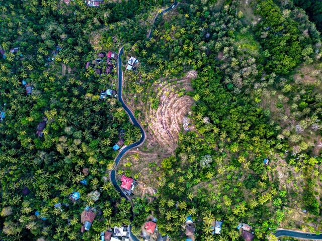 Buleleng,Bali,Indonesia,Land,MLS ID 2478