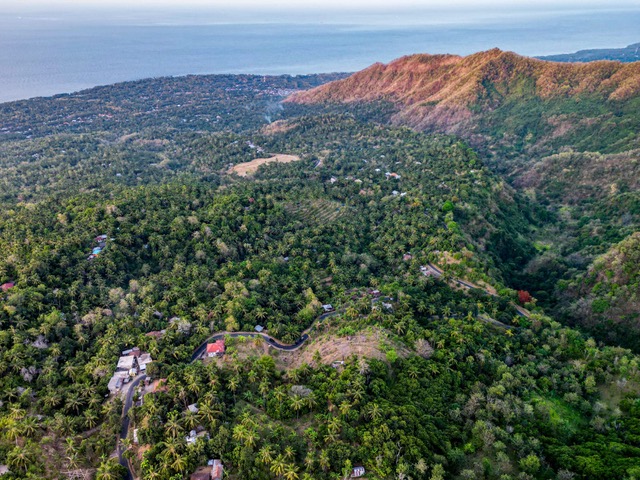 Buleleng,Bali,Indonesia,Land,MLS ID 2478