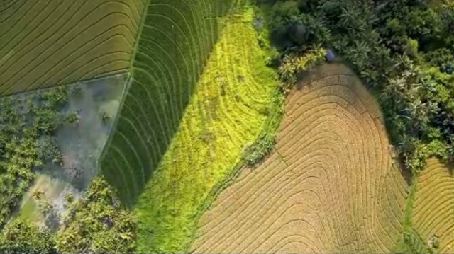 Tabanan,Bali,Indonesia,Land,MLS ID 2479