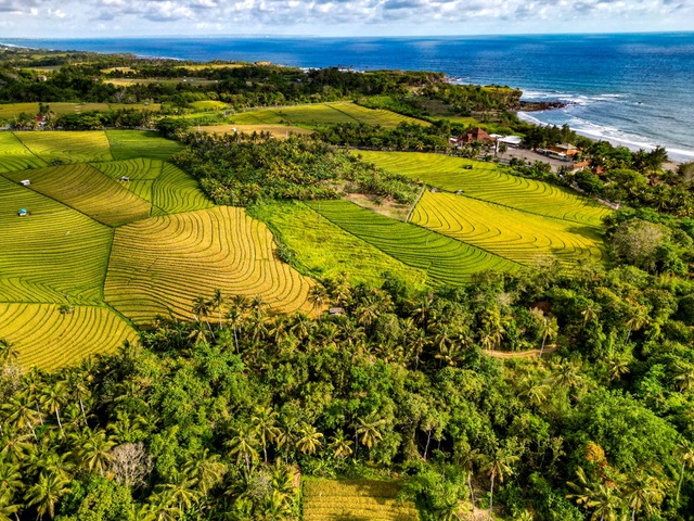Tabanan,Bali,Indonesia,Land,MLS ID 2479