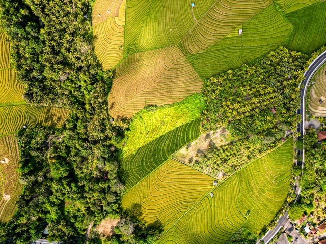 Tabanan,Bali,Indonesia,Land,MLS ID 2479
