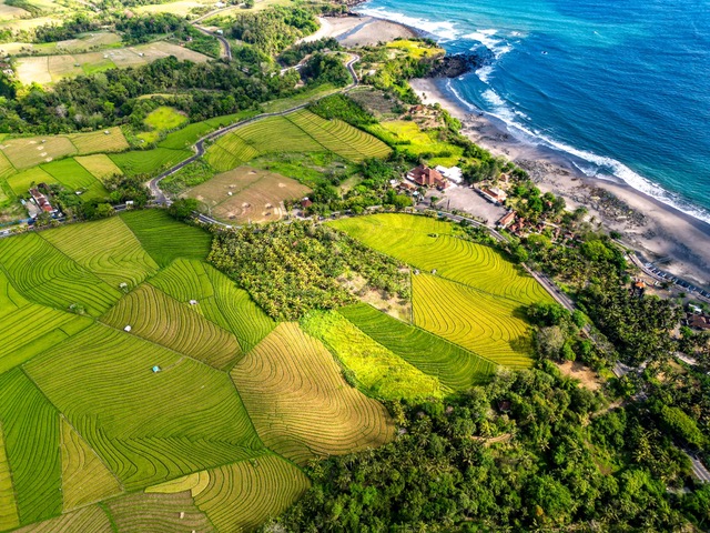 Tabanan,Bali,Indonesia,Land,MLS ID 2479