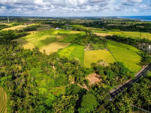 Tabanan,Bali,Indonesia,Land,MLS ID 2479