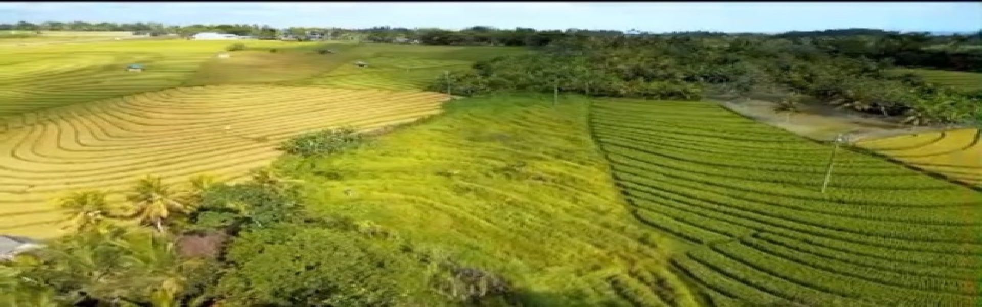 Tabanan,Bali,Indonesia,Land,MLS ID 2479