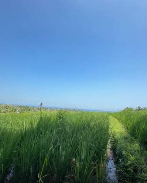Tabanan,Bali,Indonesia,Land,MLS ID 2480