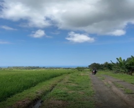 Tabanan,Bali,Indonesia,Land,MLS ID 2480