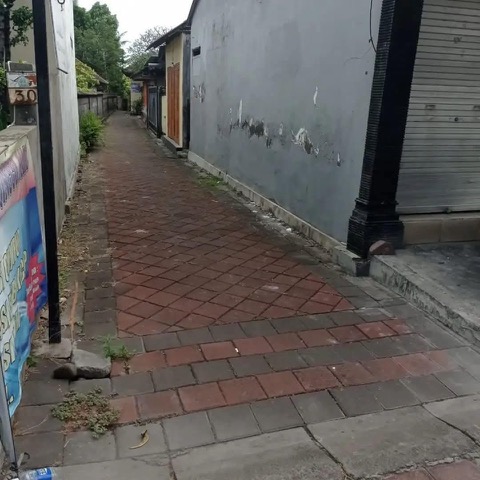 Dalung,Bali,Indonesia,Land,MLS ID 2481