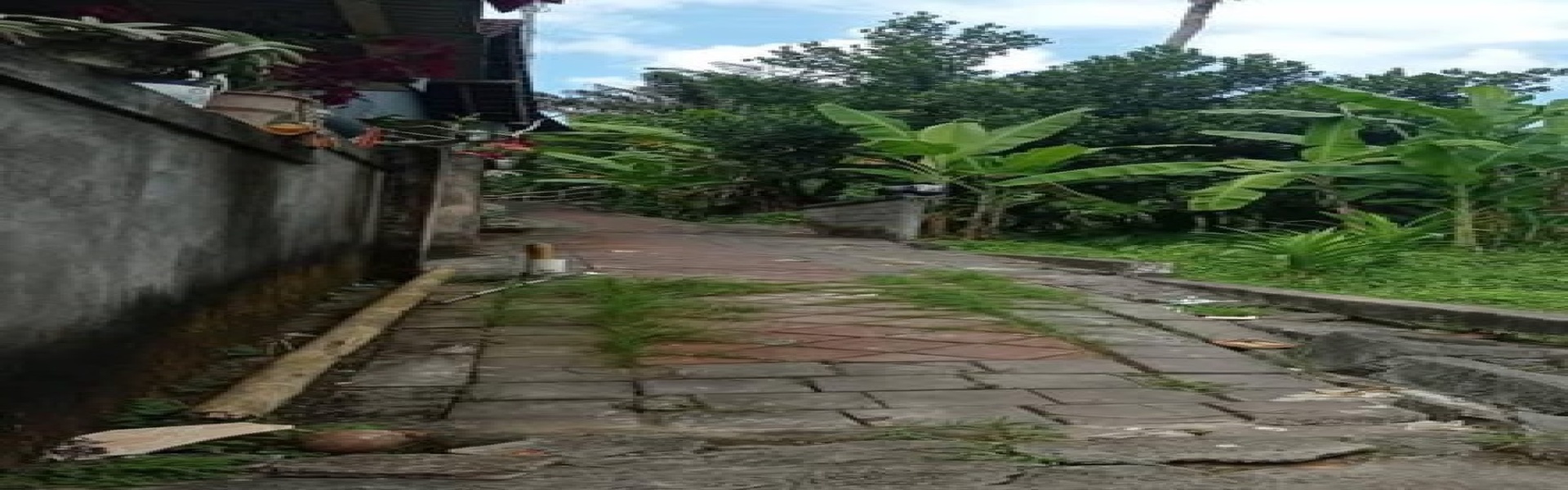 Dalung,Bali,Indonesia,Land,MLS ID 2481