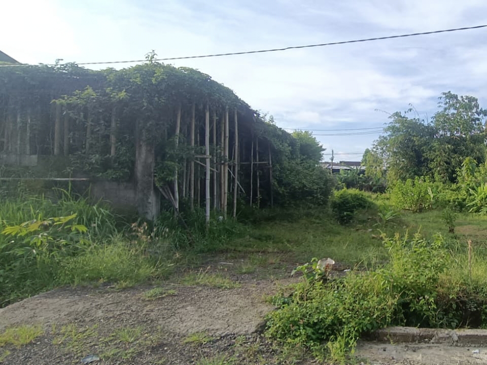 Ungasan,Bali,Indonesia,Land,MLS ID 2520